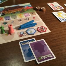 Takenoko