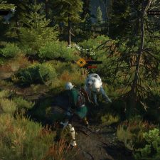 The Witcher 3: Wild Hunt