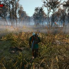 The Witcher 3: Wild Hunt