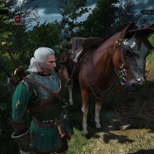 The Witcher 3: Wild Hunt