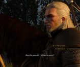 The Witcher 3: Wild Hunt