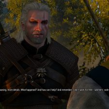 The Witcher 3: Wild Hunt