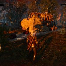The Witcher 3: Wild Hunt