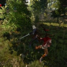 The Witcher 3: Wild Hunt