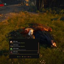 The Witcher 3: Wild Hunt