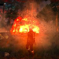 The Witcher 3: Wild Hunt