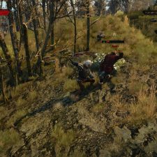 The Witcher 3: Wild Hunt