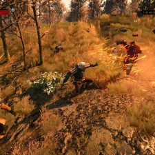 The Witcher 3: Wild Hunt