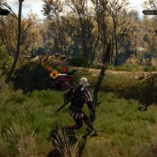 The Witcher 3: Wild Hunt