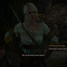 The Witcher 3: Wild Hunt