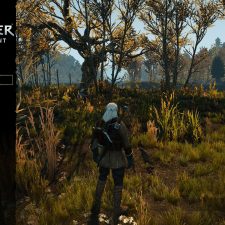 The Witcher 3: Wild Hunt