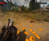 The Witcher 3: Wild Hunt