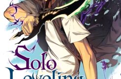 Solo Leveling