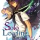 Solo Leveling