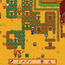 Stardew Valley
